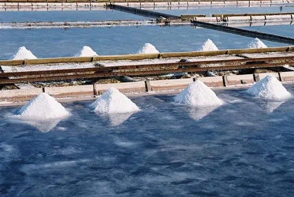 Live webcam view of Sečovlje Salina Nature Park and historic salt pans in real time