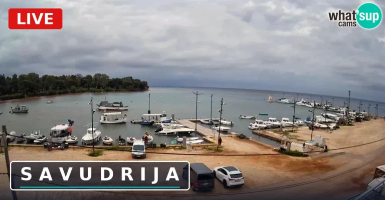 Pogled web kamere uživo na malu lučicu u Savudriji s brodicama i morem, Istra, Hrvatska